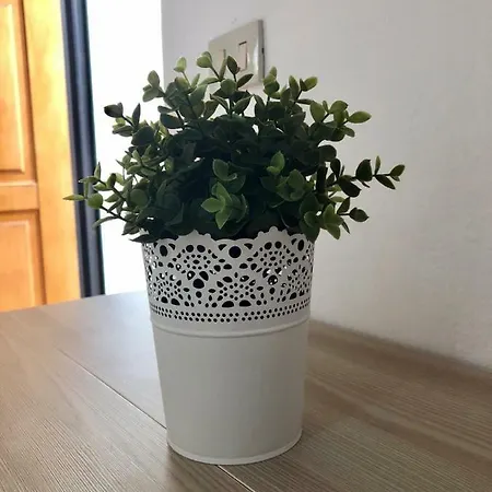 Il Semaforo Apartment *